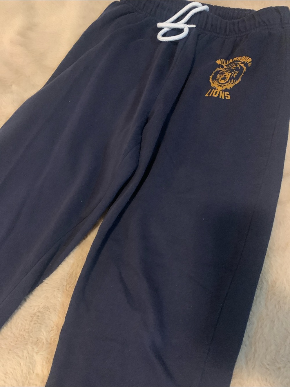 GARAGE Navy Sweatpants with Gold 'Lions' Graphic